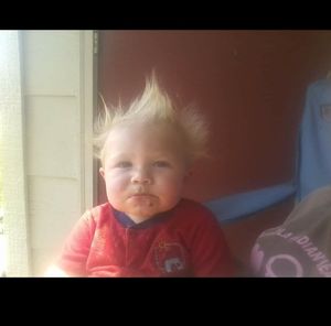 Meet your Posher, Joy